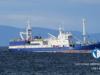 Trawler zu verkaufen