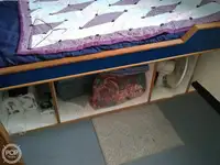 Kutter zu verkaufen