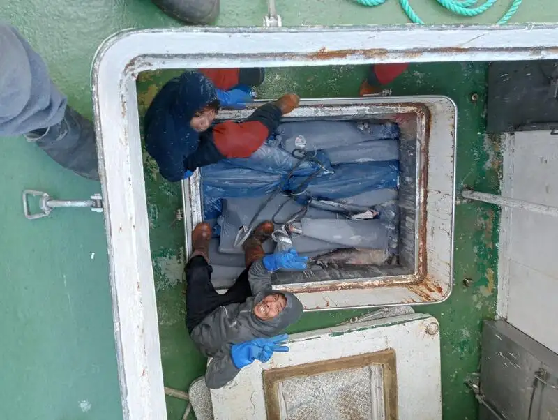 Trawler zu verkaufen