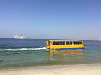 Amphibien zu verkaufen