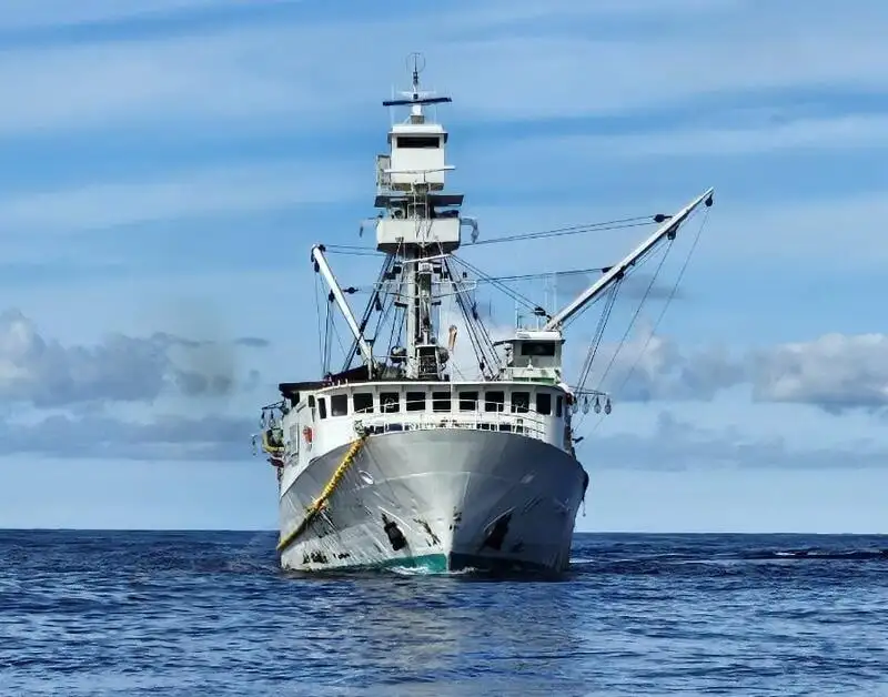 Wadenfänger zu verkaufen