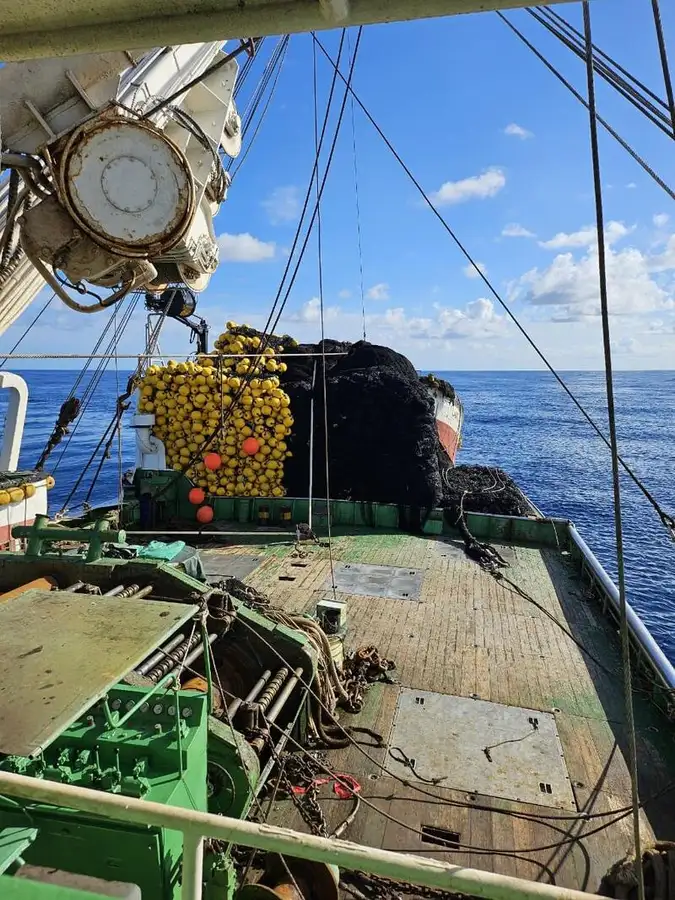 Wadenfänger zu verkaufen