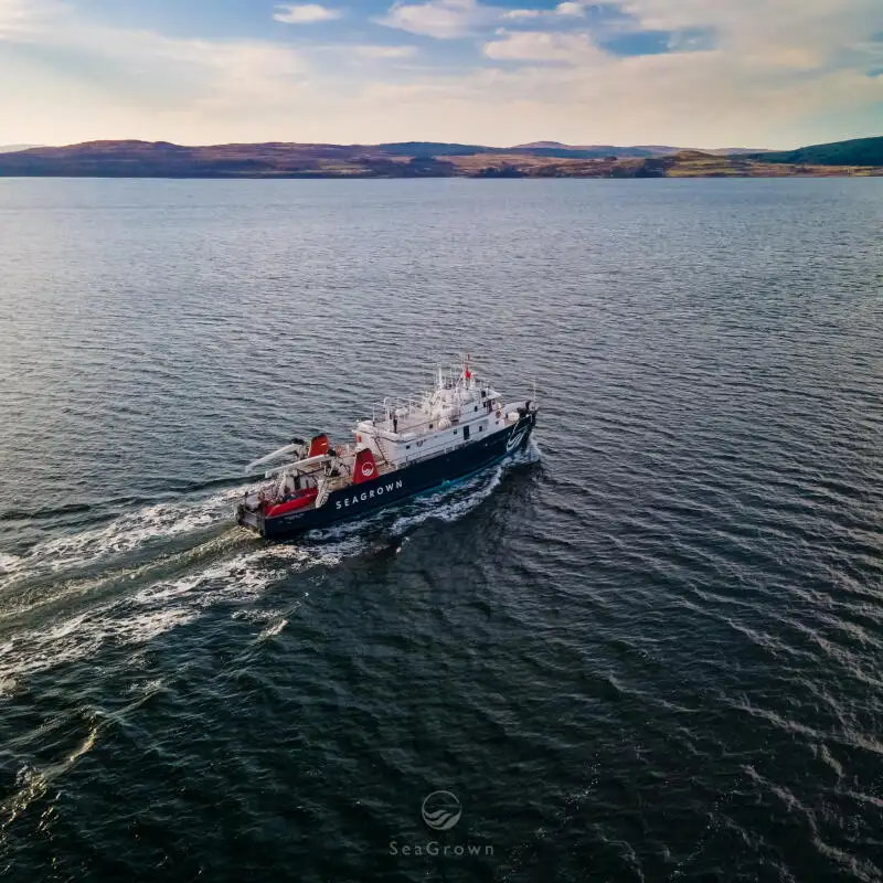 Vermessungsschiff zu verkaufen