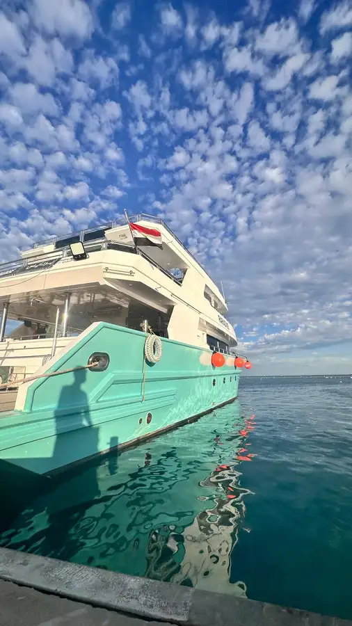 Kreuzfahrtschiff zu verkaufen