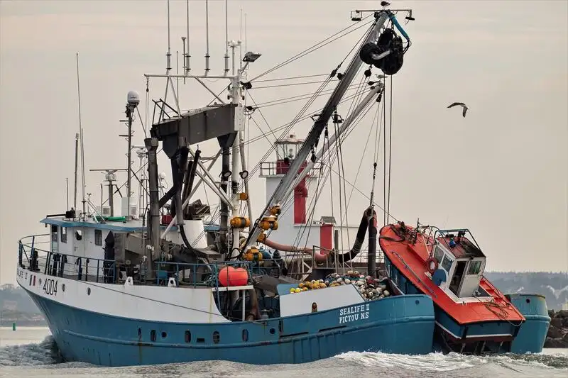 Wadenfänger zu verkaufen