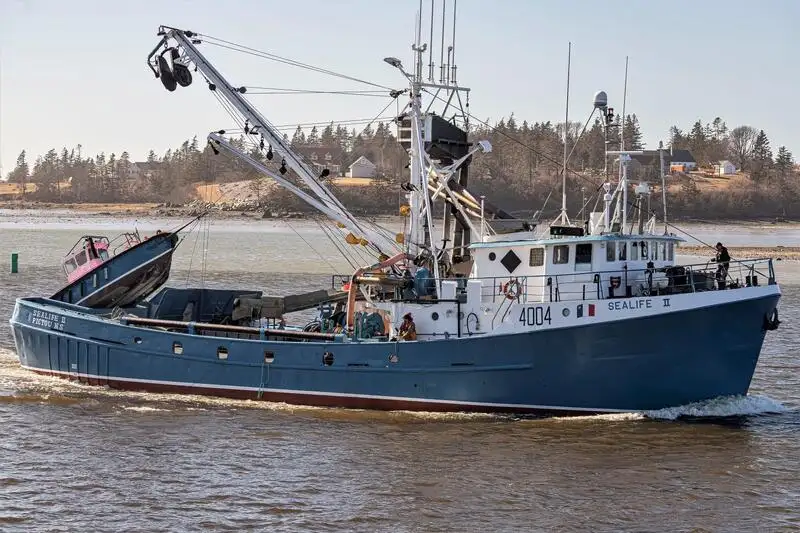 Wadenfänger zu verkaufen