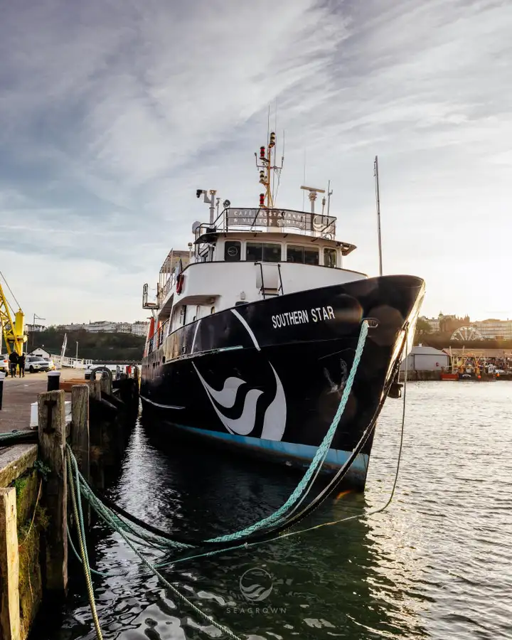 Vermessungsschiff zu verkaufen