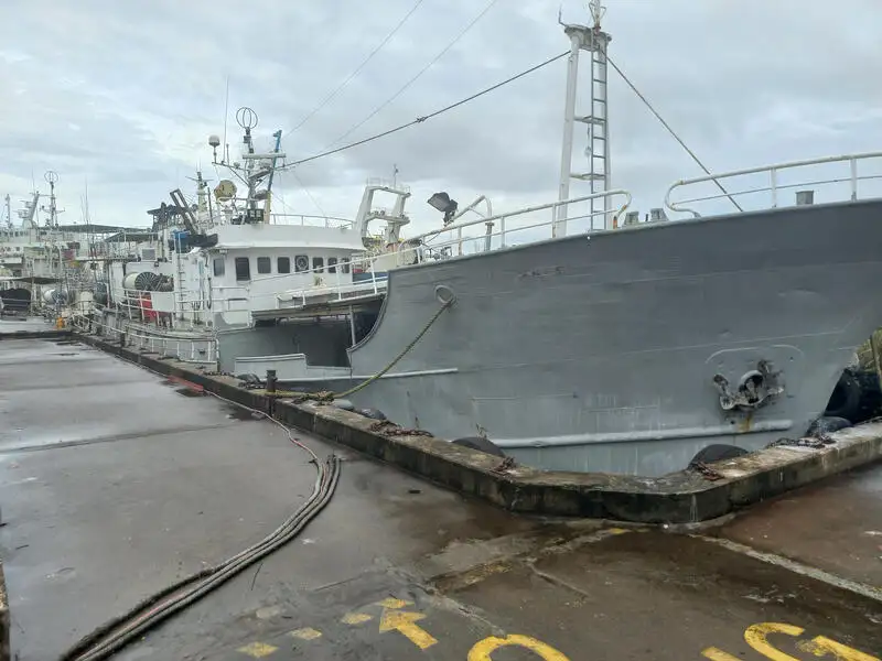 Langleinenschiff zu verkaufen