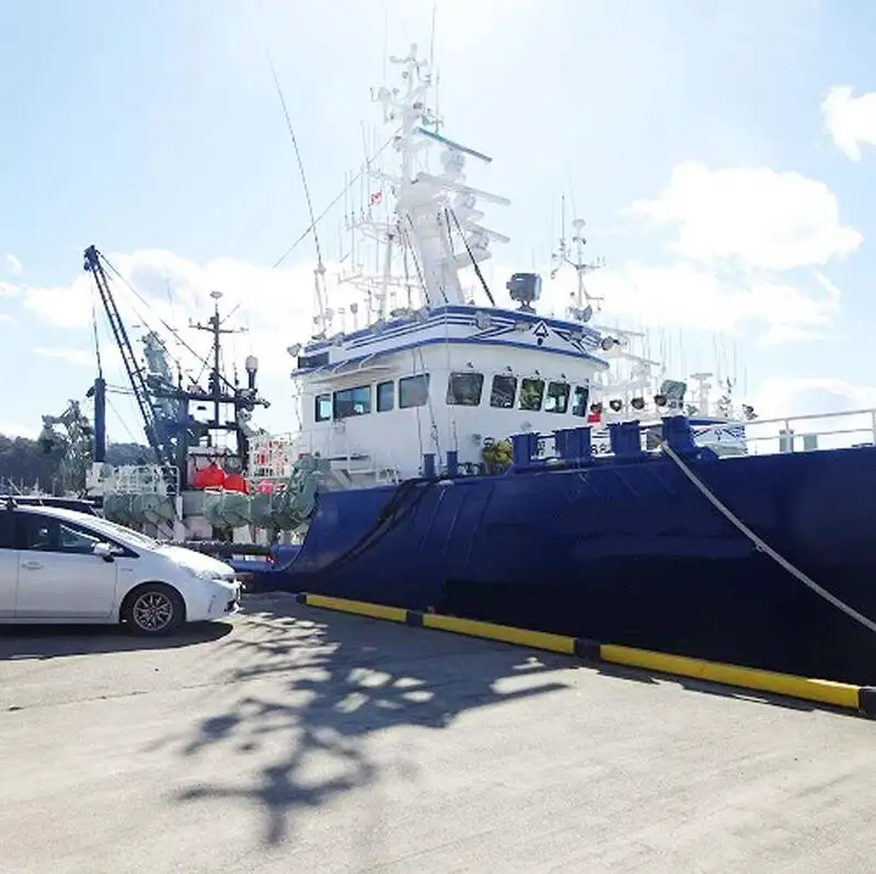 Wadenfänger zu verkaufen