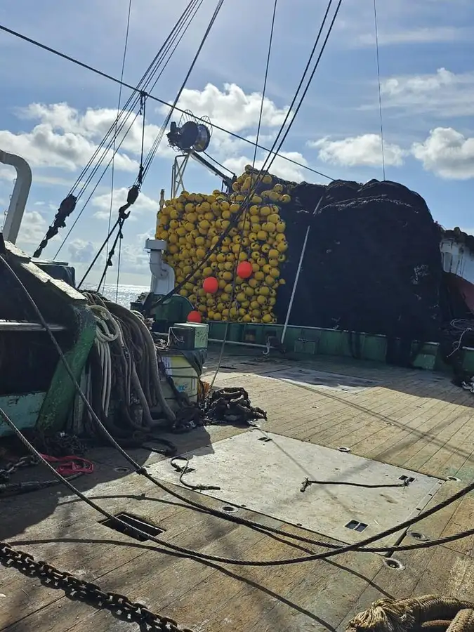 Wadenfänger zu verkaufen