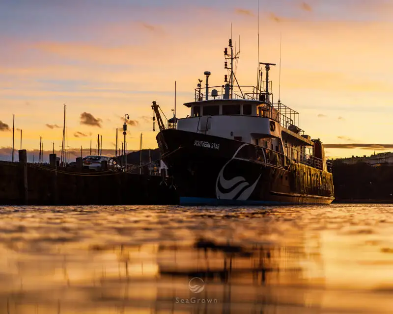 Vermessungsschiff zu verkaufen