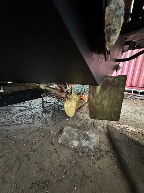 Fischkutter zu verkaufen