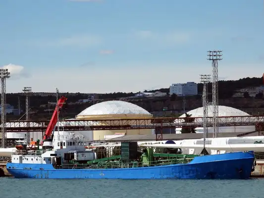 Bulk carrier for sale