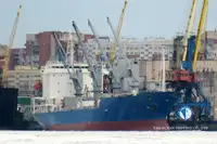 Kühlschiff zu verkaufen