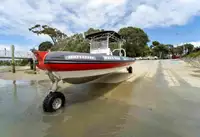 Amphibien zu verkaufen