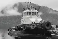 Schleppboot zu verkaufen