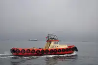 Schleppboot zu verkaufen