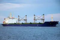 Massengutfrachter zu verkaufen