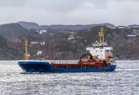 Massengutfrachter zu verkaufen