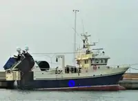 Schiff für Fischverarbeitung und Lieferung zu verkaufen