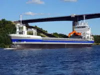 Massengutfrachter zu verkaufen