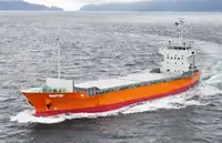 Containerschiff zu verkaufen