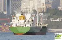 Massengutfrachter zu verkaufen