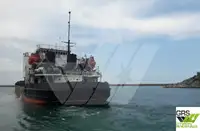 Massengutfrachter zu verkaufen