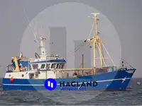 Baumkurrentrawler zu verkaufen