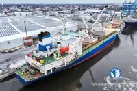 Kühlschiff zu verkaufen
