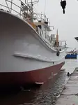 Langleinenschiff zu verkaufen