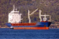 Massengutfrachter zu verkaufen