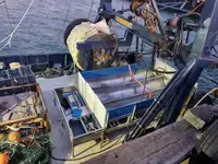 Altmetall zu verkaufen