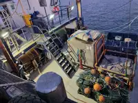 Altmetall zu verkaufen