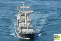 Massengutfrachter zu verkaufen