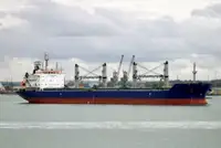 Massengutfrachter zu verkaufen