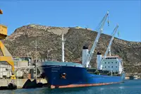 Massengutfrachter zu verkaufen