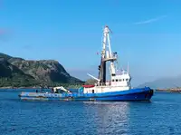 Schleppboot zu verkaufen