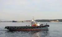 Arbeitsboote zu verkaufen