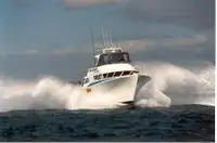 Arbeitsboote zu verkaufen