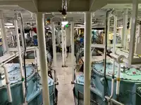 Schleppboot zu verkaufen