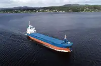 Massengutfrachter zu verkaufen