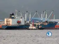 Kühlschiff zu verkaufen