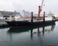 Massengutfrachter zu verkaufen