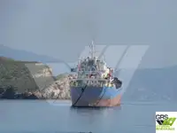 Massengutfrachter zu verkaufen