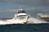 Arbeitsboote zu verkaufen