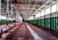 RORO-Schiff zu verkaufen