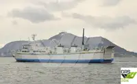 RORO-Schiff zu verkaufen