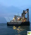 Massengutfrachter zu verkaufen