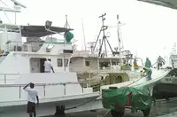 Langleinenschiff zu verkaufen